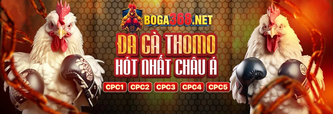 Tin tức độc quyền m.98win